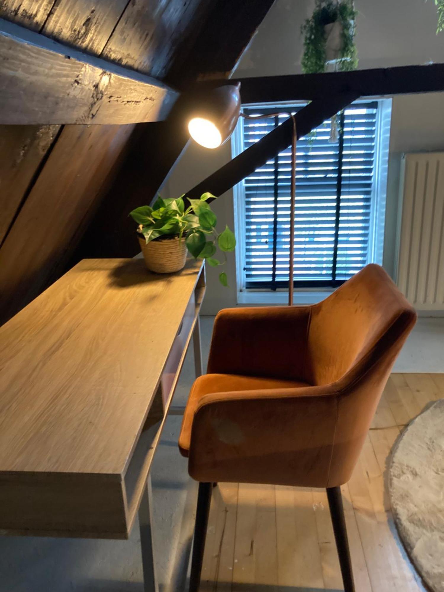 Elegant Appartement In Pakhuis Friesland Centrum Leeuwarden Pokój zdjęcie